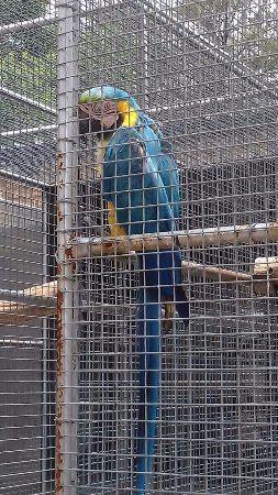 Monkey and Bird Park