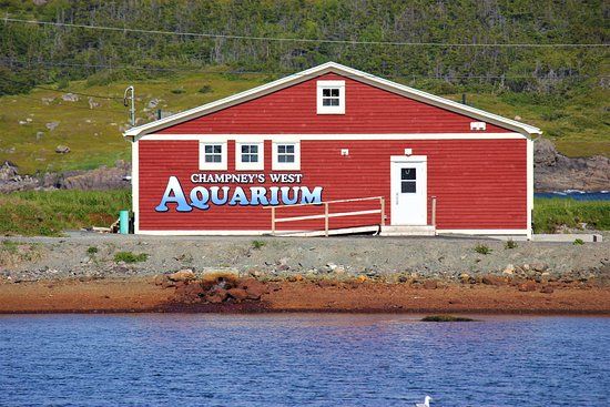 Champney's West Aquarium