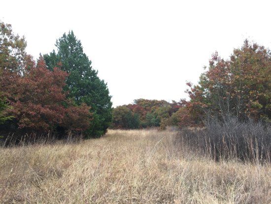 LBJ National Grasslands