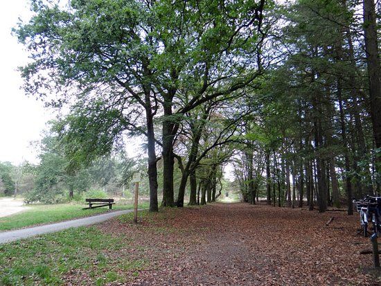 Wandelroute Heidestein