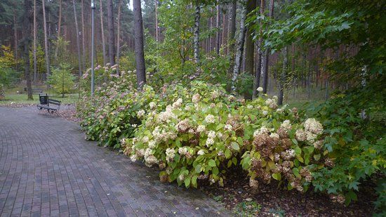 Botanical Garden of the University of Zielona Gora