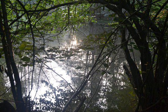 Centro Parco Fagiana