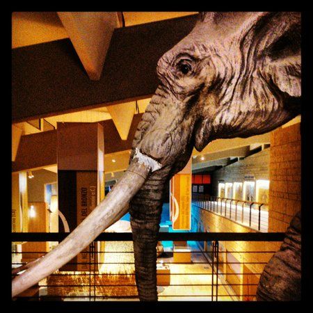 National Museum of the Paleolithic