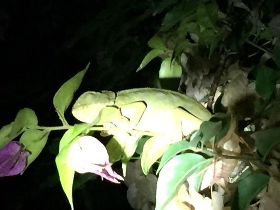 Jardin Botanico Celestino Mutis