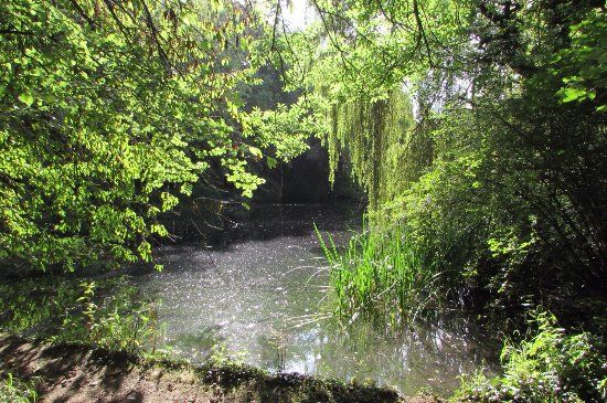 Wychwood Wild Garden