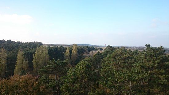 Boswachterij Westerschouwen