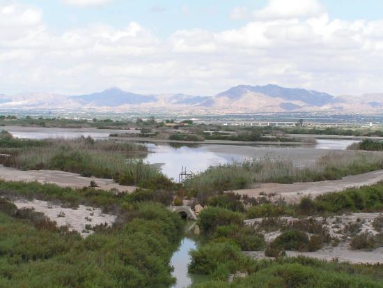 Natural Park of El Fondo