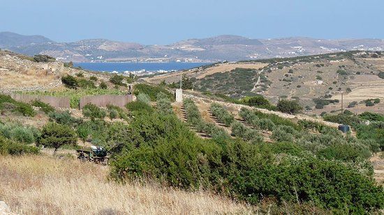 Kamarantho Active Organic Farm