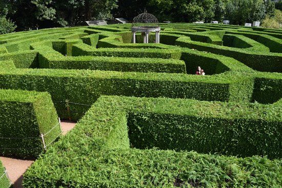 Wye Valley Butterfly Zoo