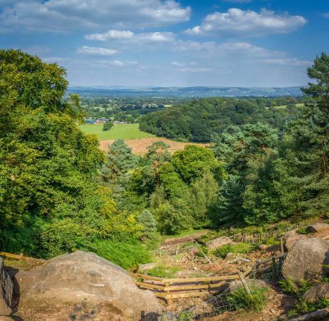 Alderley Edge Woodland Walk
