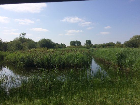RSPB Fowlmere Nature Reserve