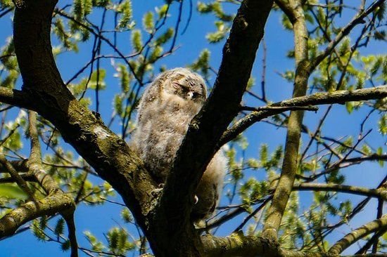 Staveley Nature Reserve