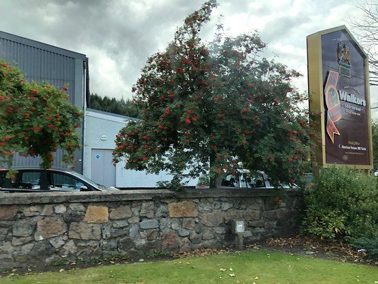 Dailuaine Distillery