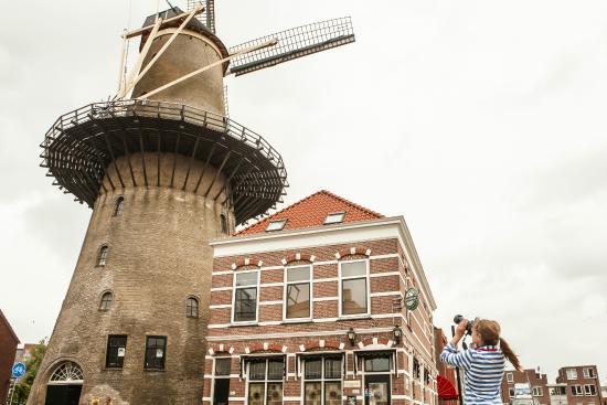 Molen Kyck Over Den Dyck