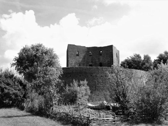 The Ruins Of Teylingen
