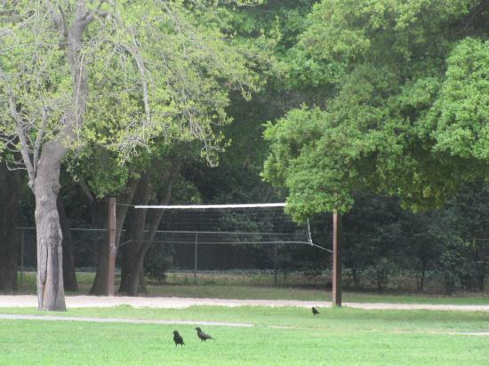 Flood Park