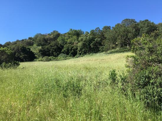 Rancho San Antonio Open Space Preserve