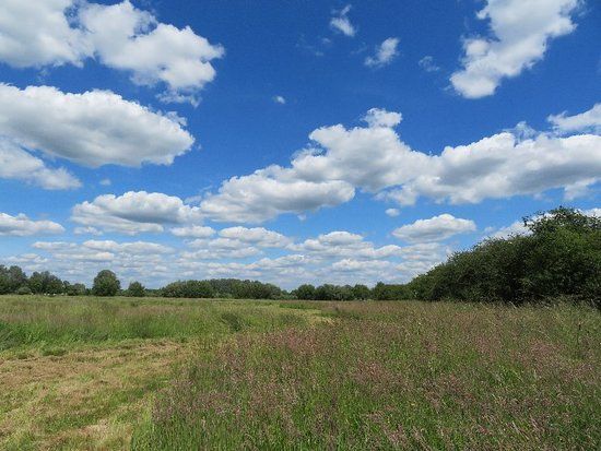Floodplain Forest Nature Reserve
