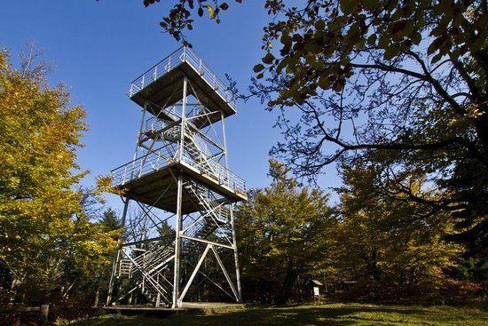 Wieza widokowa na Kalenicy