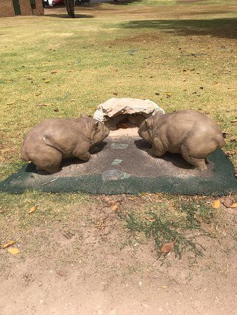Wombat Statues