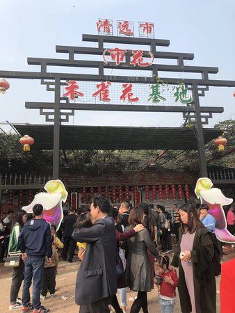 Qingyuan He Que Hua Jidi