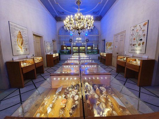 The wonders of the sea