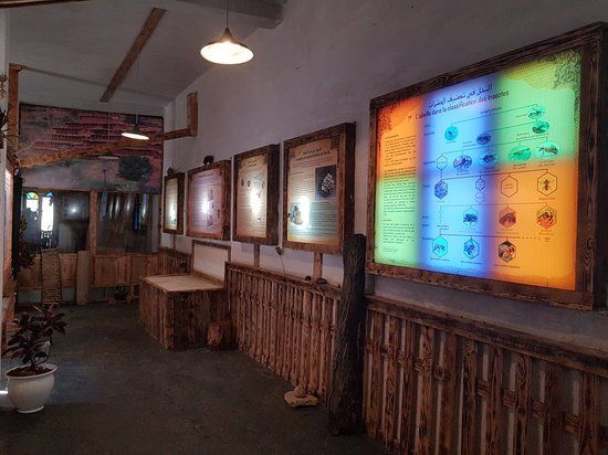 Museum of the Living Bee