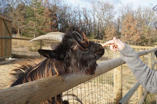 Parc Animalier des Gorges de l'Ardeche