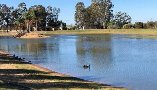 Milmerran Factory Dam Park