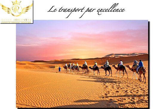 Rayan Discovery S.A.R.L