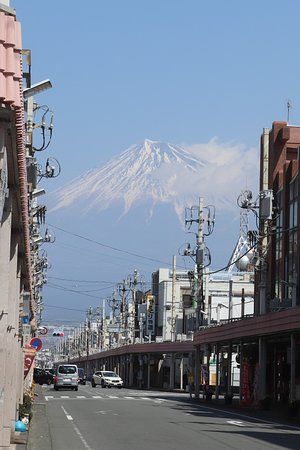 Fuji Honchodori