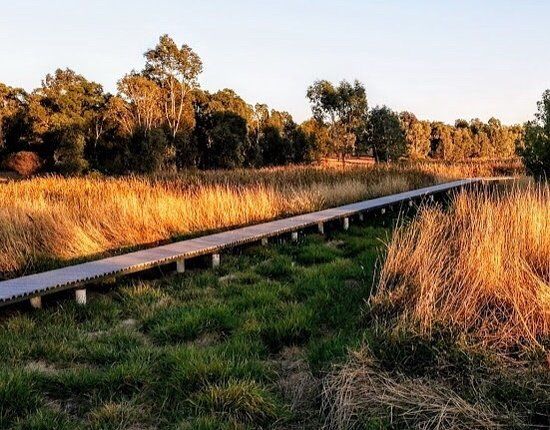Junee Urban Wetland
