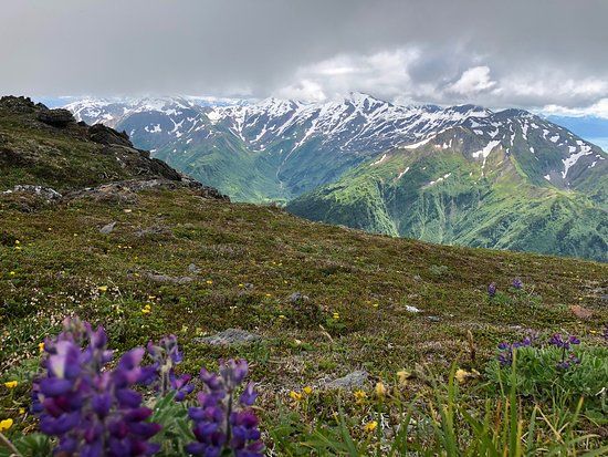 Mt Juneau Trail