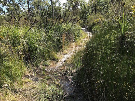 Cooloola Wilderness Trail