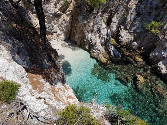 Three Trees Amarandos