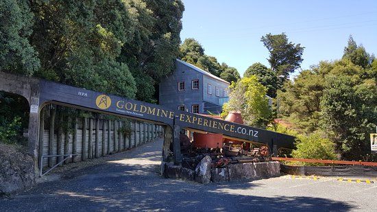 Thames Goldmine Experience