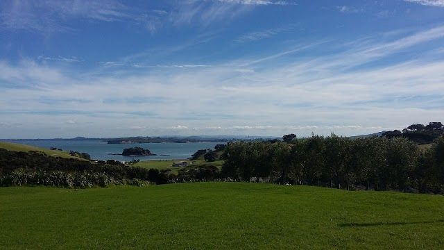Cable Bay Vineyard