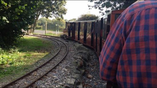 South Downs Light Railway