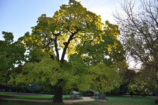 Castlemaine Botanical Gardens