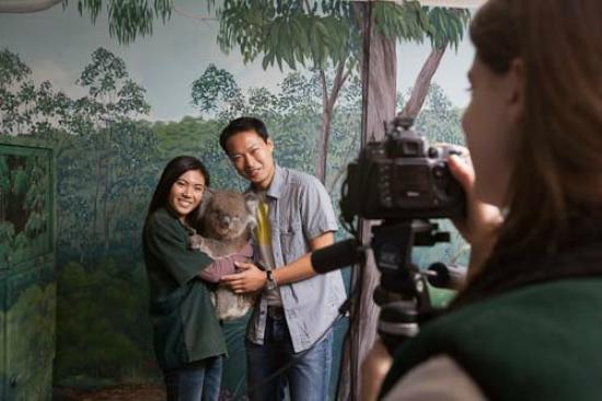 Cleland Wildlife Park