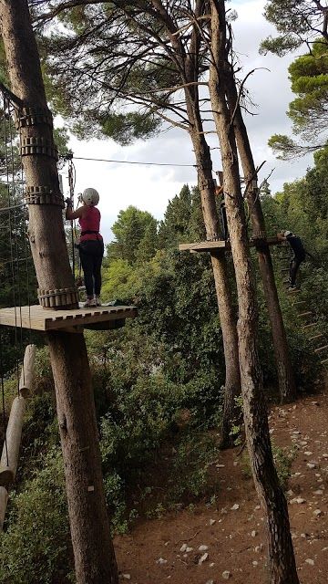 Parco Avventura Bosco Alcamo
