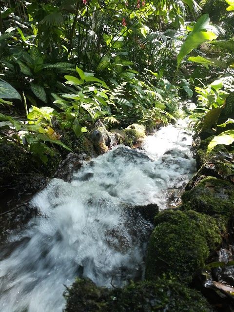 Botanico Eloy Valenzuela Garden