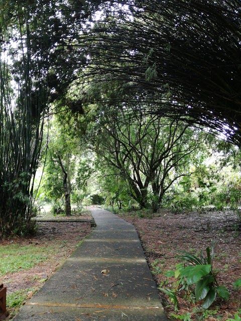 Botanical Garden