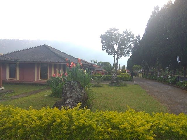 Bali Strawberry Farm