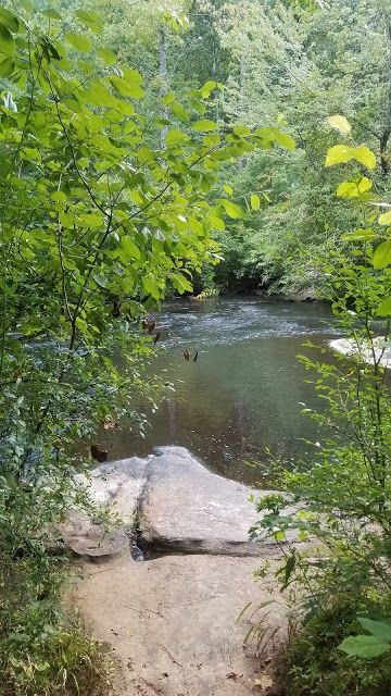 Line Creek Nature Area