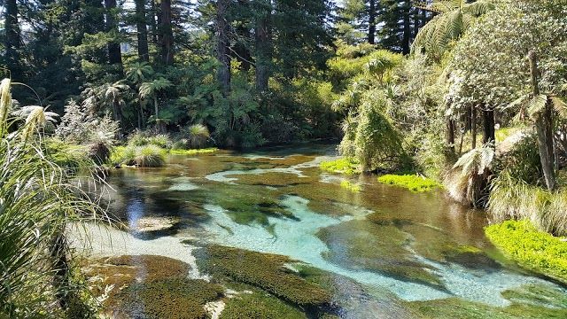 Hamurana Springs Garden & Golf Resort