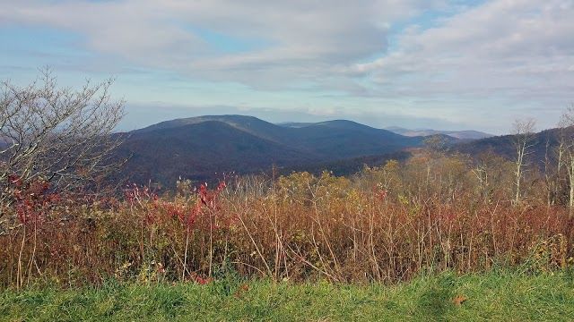 George Washington And Jefferson National Forest