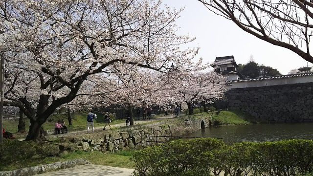 Fukuoka Castle Shiomi Watchtower