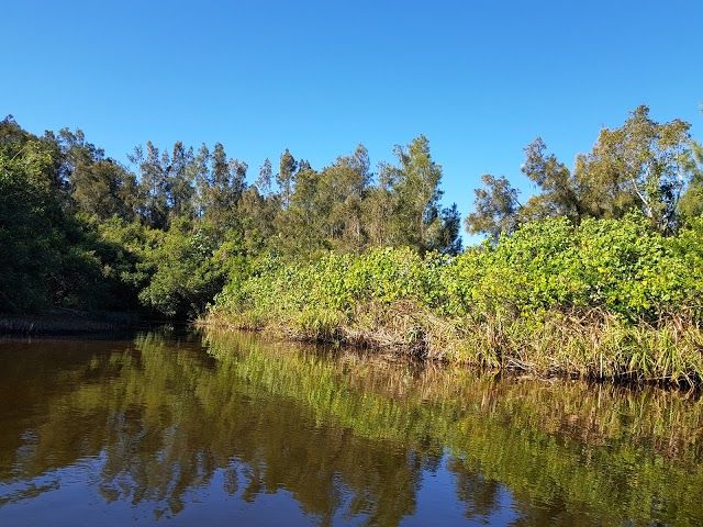 Noosa Everglades Discovery