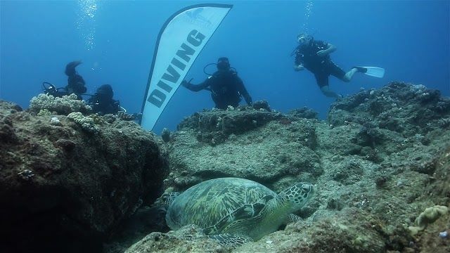 Ocean Spirit Scuba Diving Mauritius